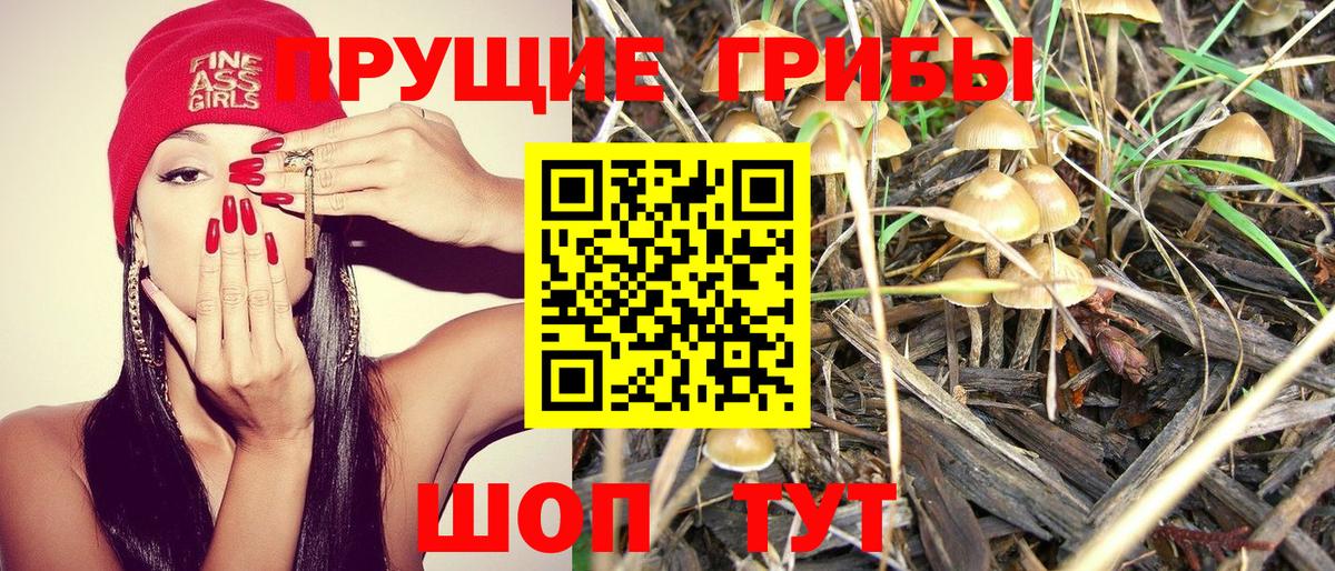 Туймазы  Псилоцибиновые грибы Magic Shrooms  Вход с VPN 